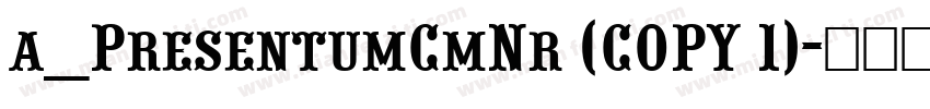 a_PresentumCmNr (COPY 1)字体转换
